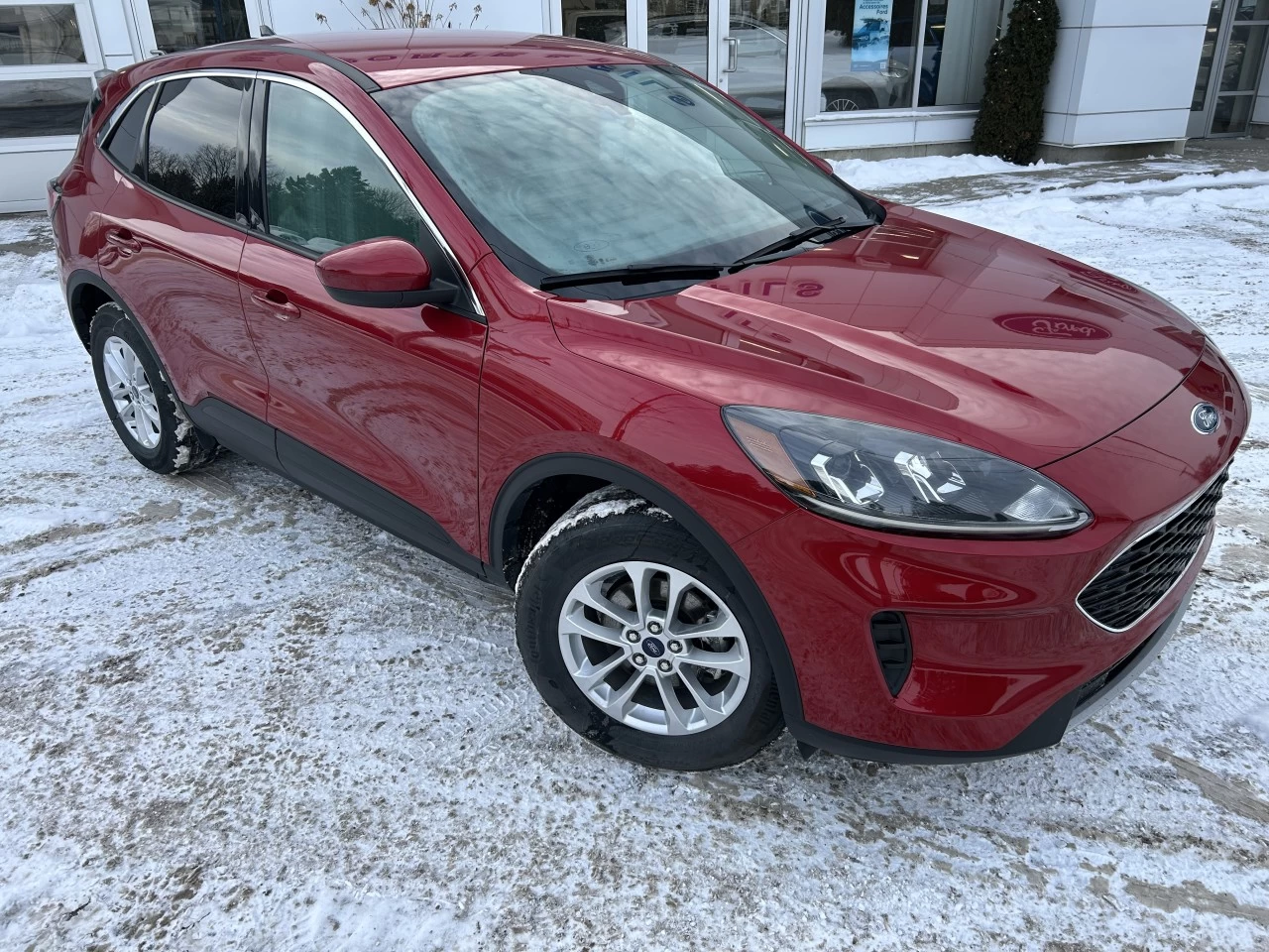 2020 Ford Escape SE Image principale