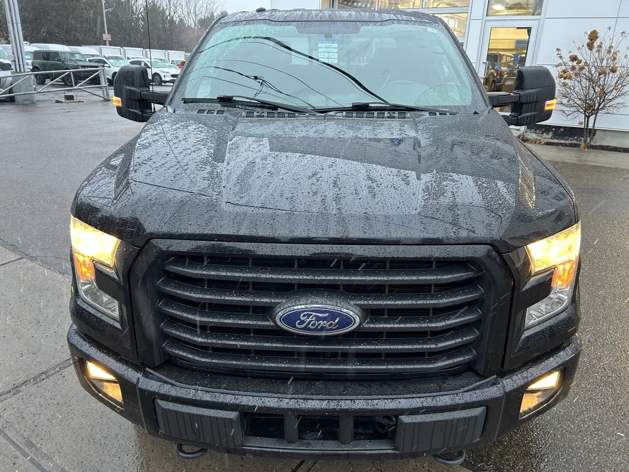 2016 Ford F-150 XLT 4x4 302A Haut Niveau Main Image