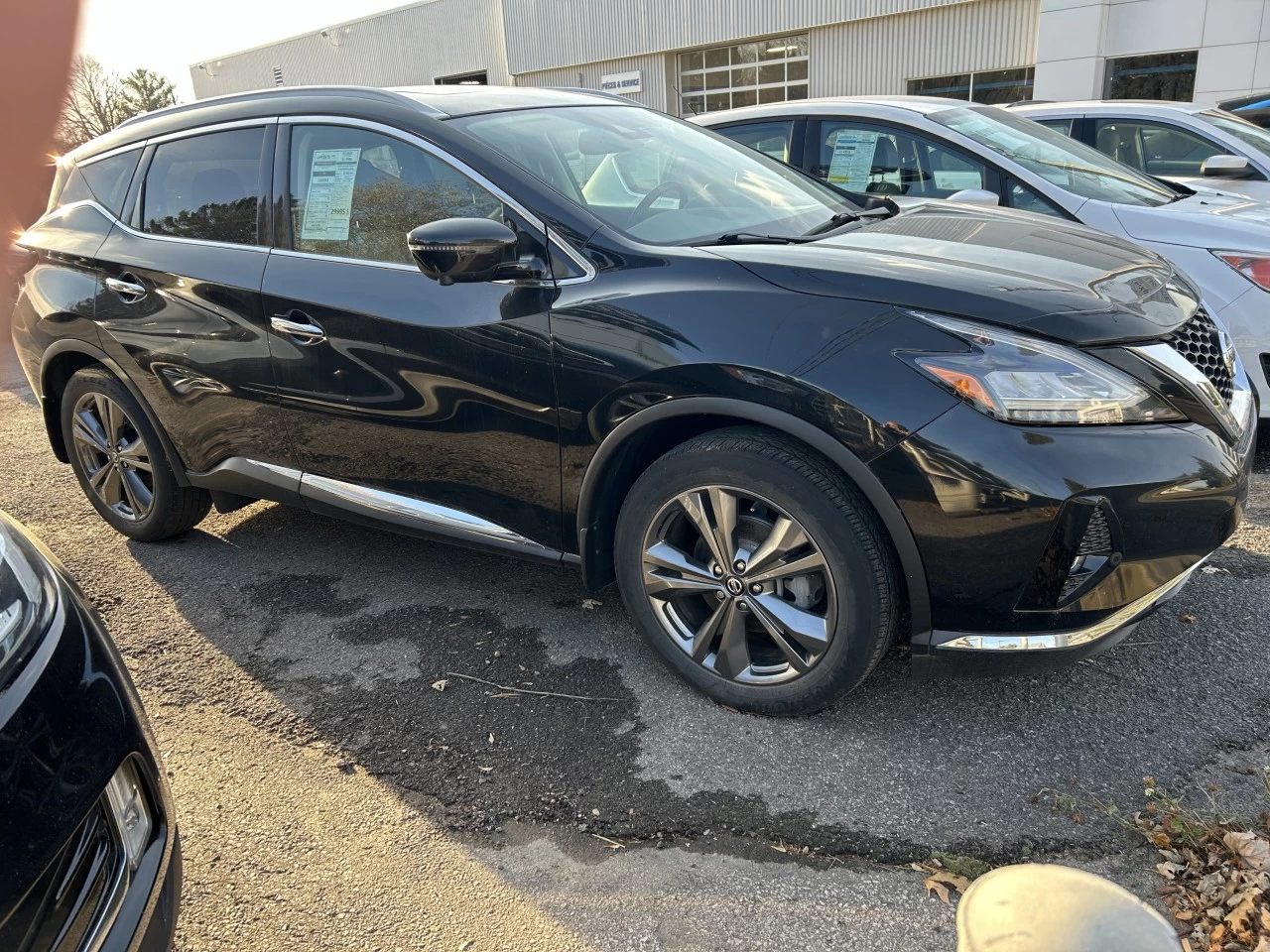 2019 Nissan Murano Platinum https://www.rejeanlaportelincoln.com/resize/b990ff35b810a3abc0cc817b2ca24889-1